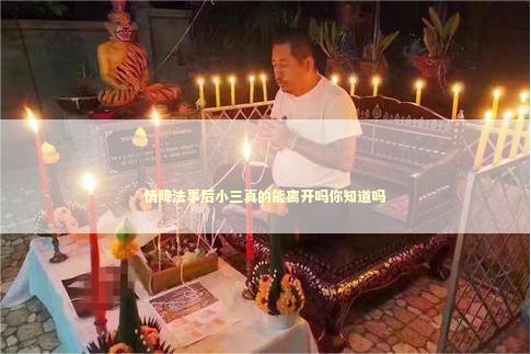 情降法事后小三真的能离开吗你知道吗